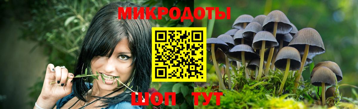 Можга  Галлюциногенные грибы Psilocybine cubensis  Вход с VPN 