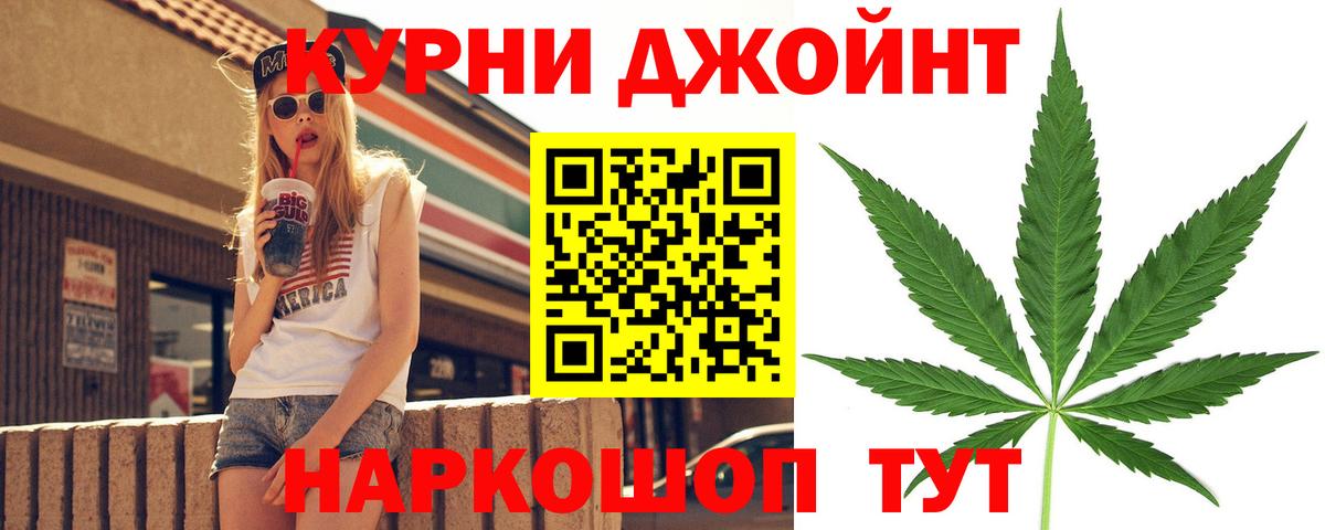 Канабис сатива Можга